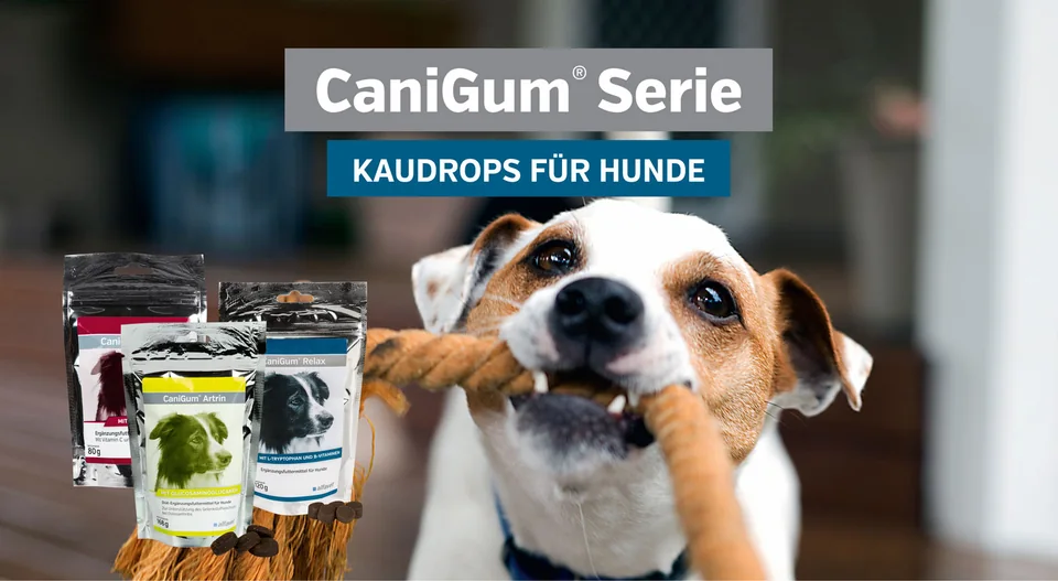 CaniGum® 系列