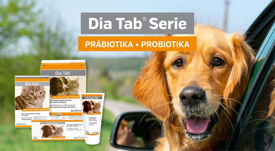 Dia Tab® 系列