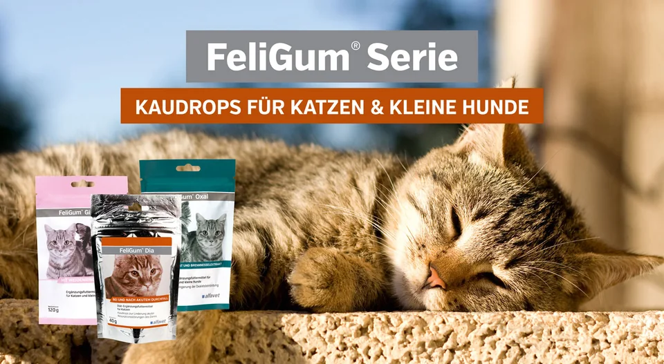 FeliGum® 系列
