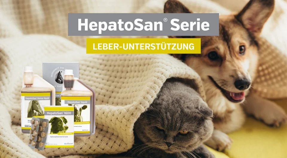 HepatoSan® 系列
