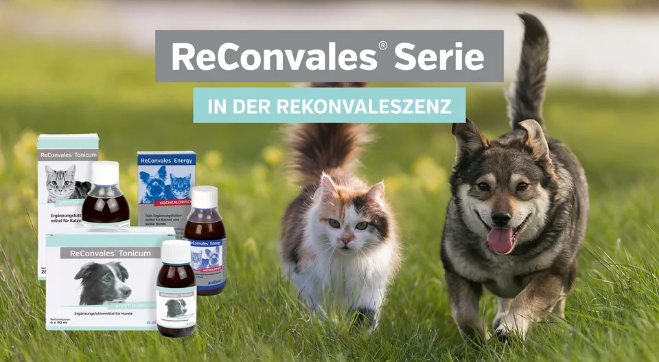 ReConvales® 系列